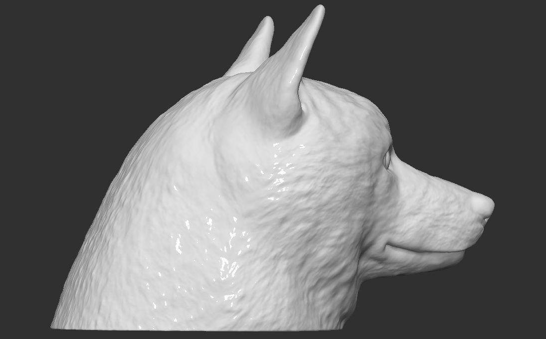 Doge meme Shiba Inu head for 3D printing 3D print model_9