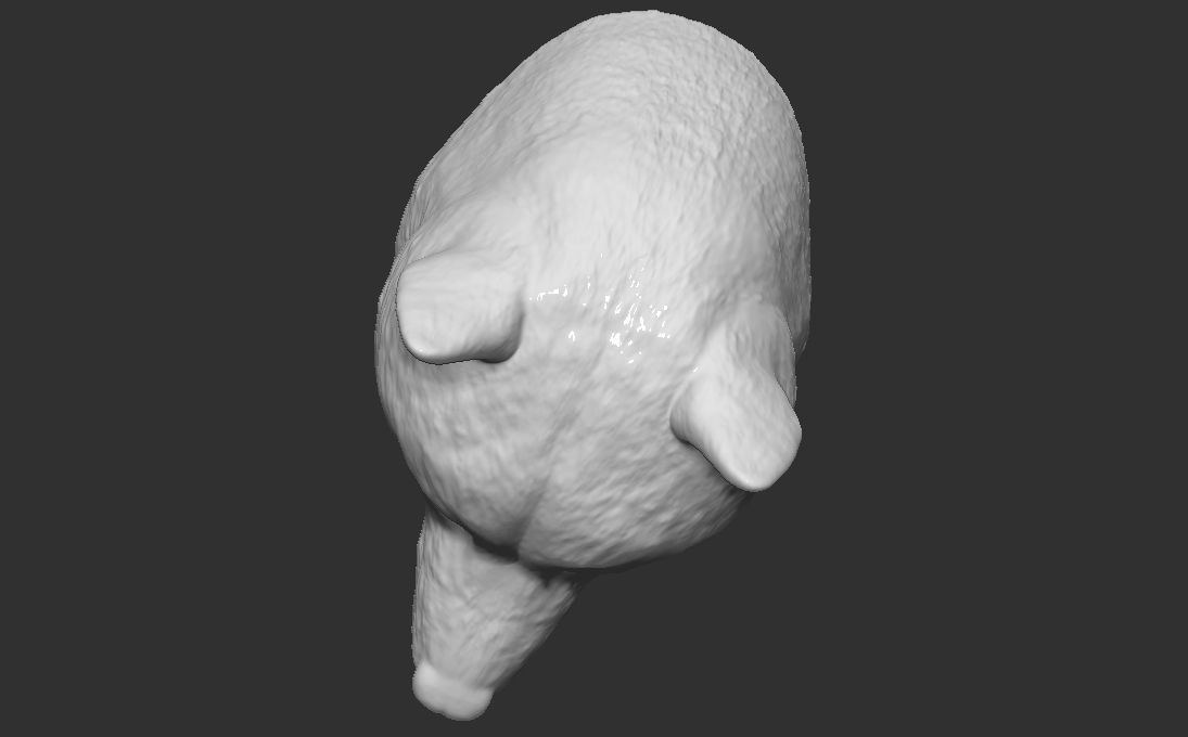 Doge meme Shiba Inu head for 3D printing 3D print model_19