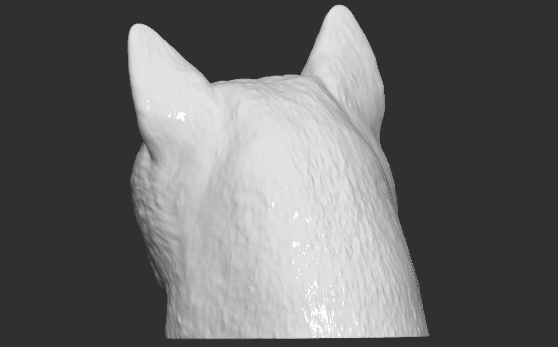 Doge meme Shiba Inu head for 3D printing 3D print model_6