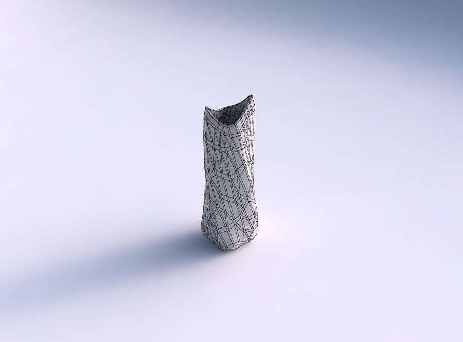 Vase twisted double arc rectangle with low-polygon 3D print model_5