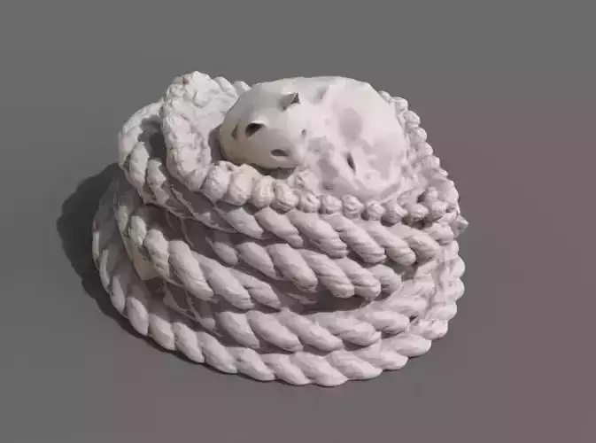 Rope with cat