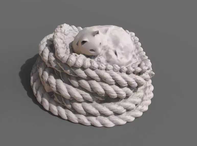 Rope with cat 3D print model_0