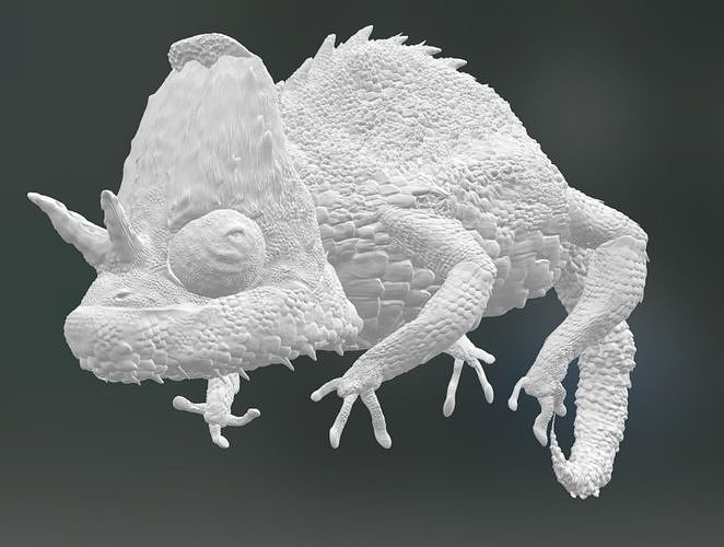 Chameleon with submeshes  3D model