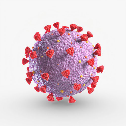 Coronavirus SARs-CoV-2 3D model