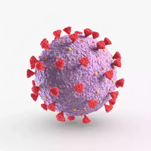 Coronavirus SARs-CoV-2