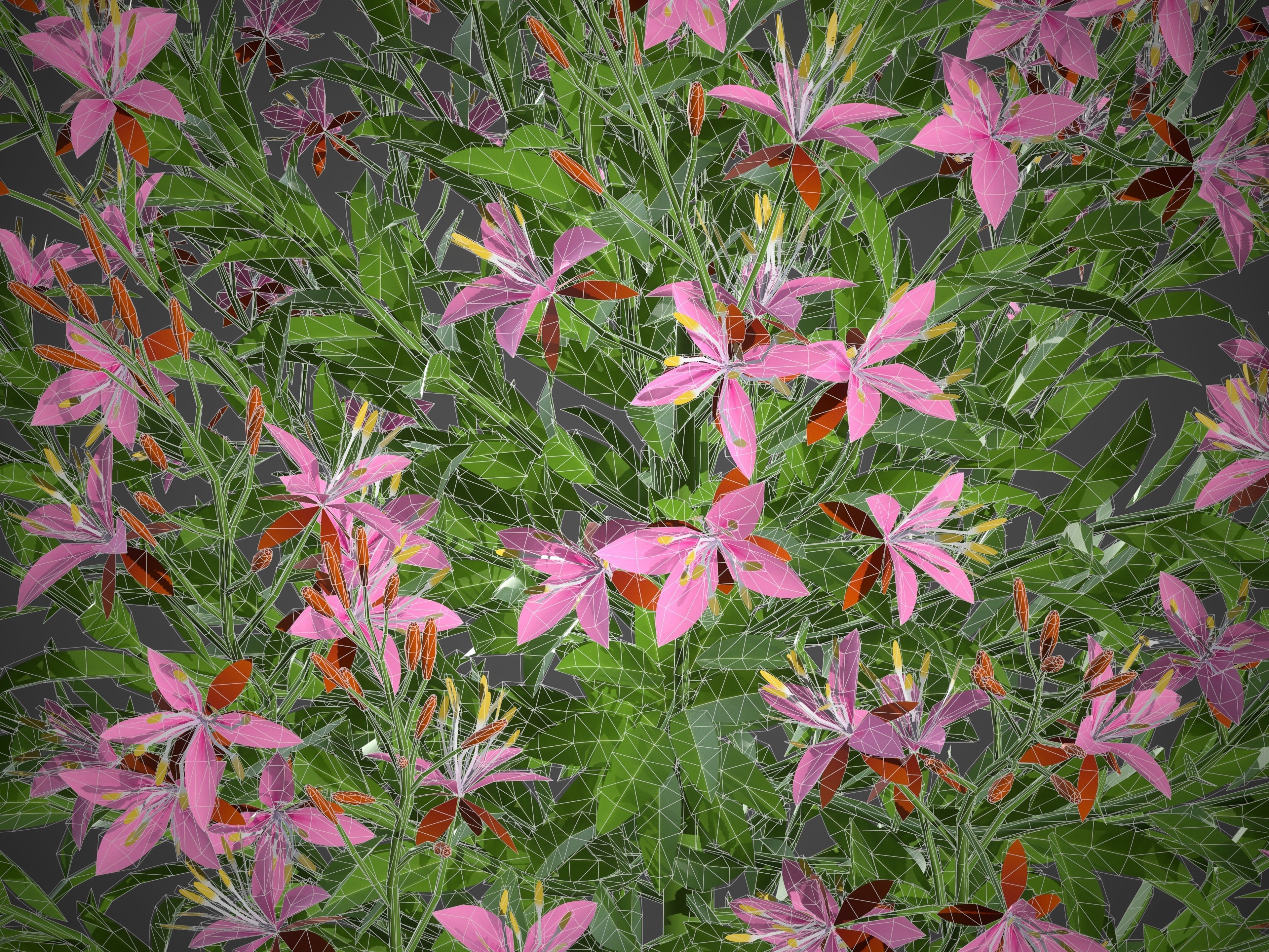 XfrogPlants Lindheimers Beeblossom - Gaura Lindheimeri 3D model_5