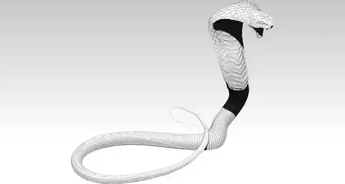 Highpoly Realistic Cobra Snake