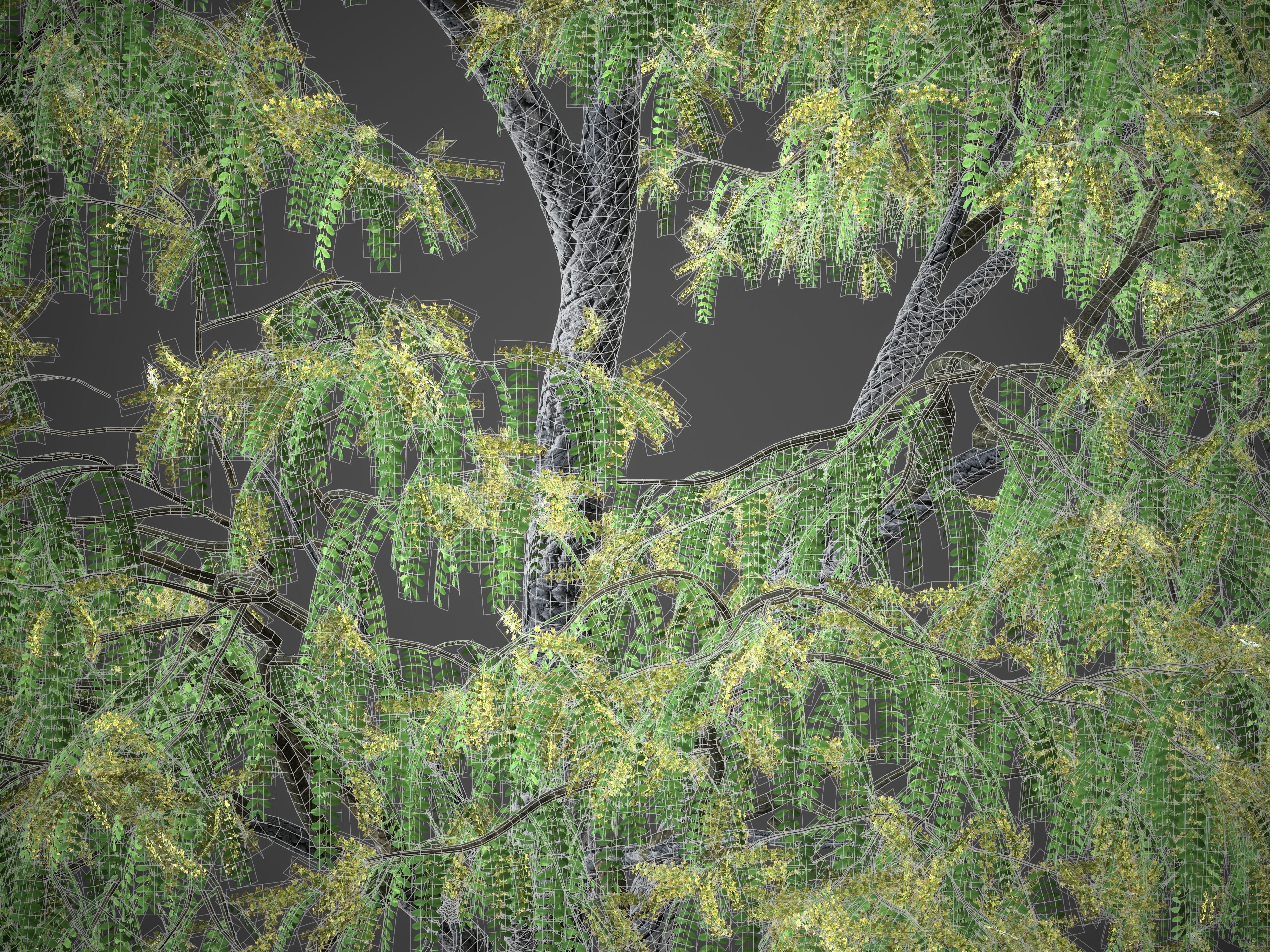 XfrogPlants Honey Locust - Gledista Treiacanthos Free 3D model_6