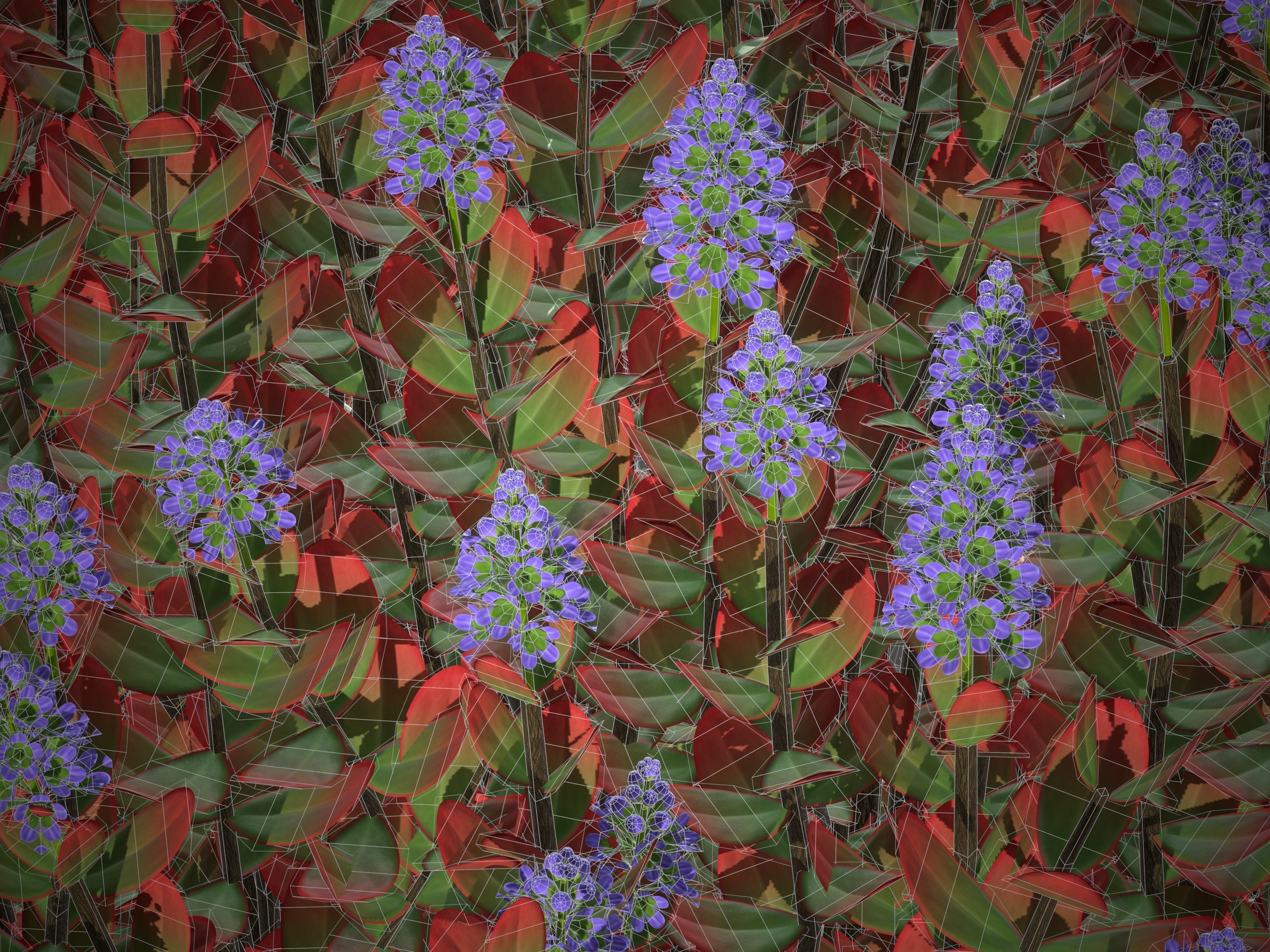 XfrogPlants Hebe Red Edge 3D model_5