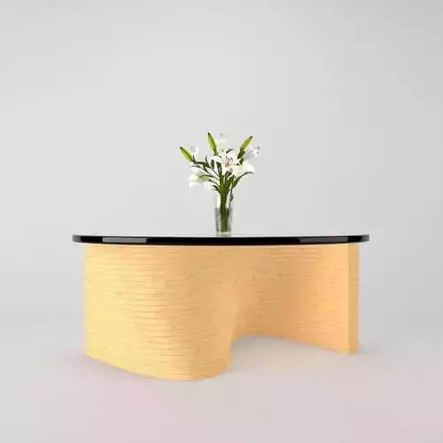   Coffee Table with Flower Pot