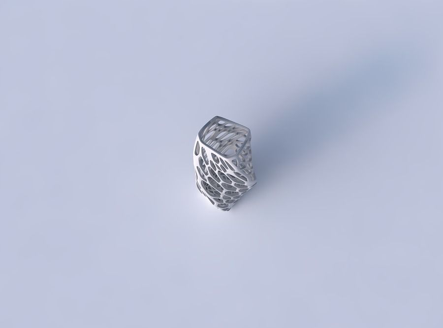 Vase twisted arc rectangle with twisted organic lattice 3D print model_2