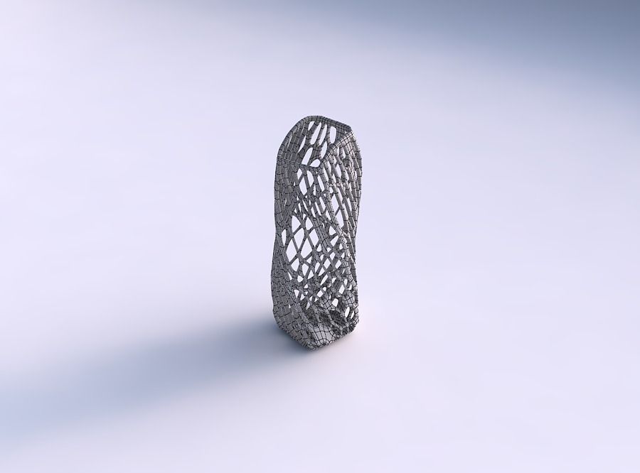Vase twisted arc rectangle with twisted organic lattice 3D print model_5