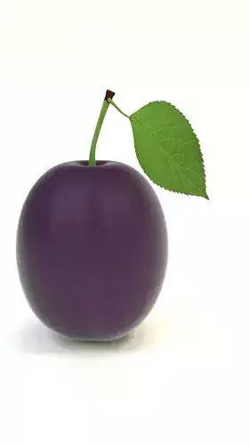 Plum fruit  Free 3D model