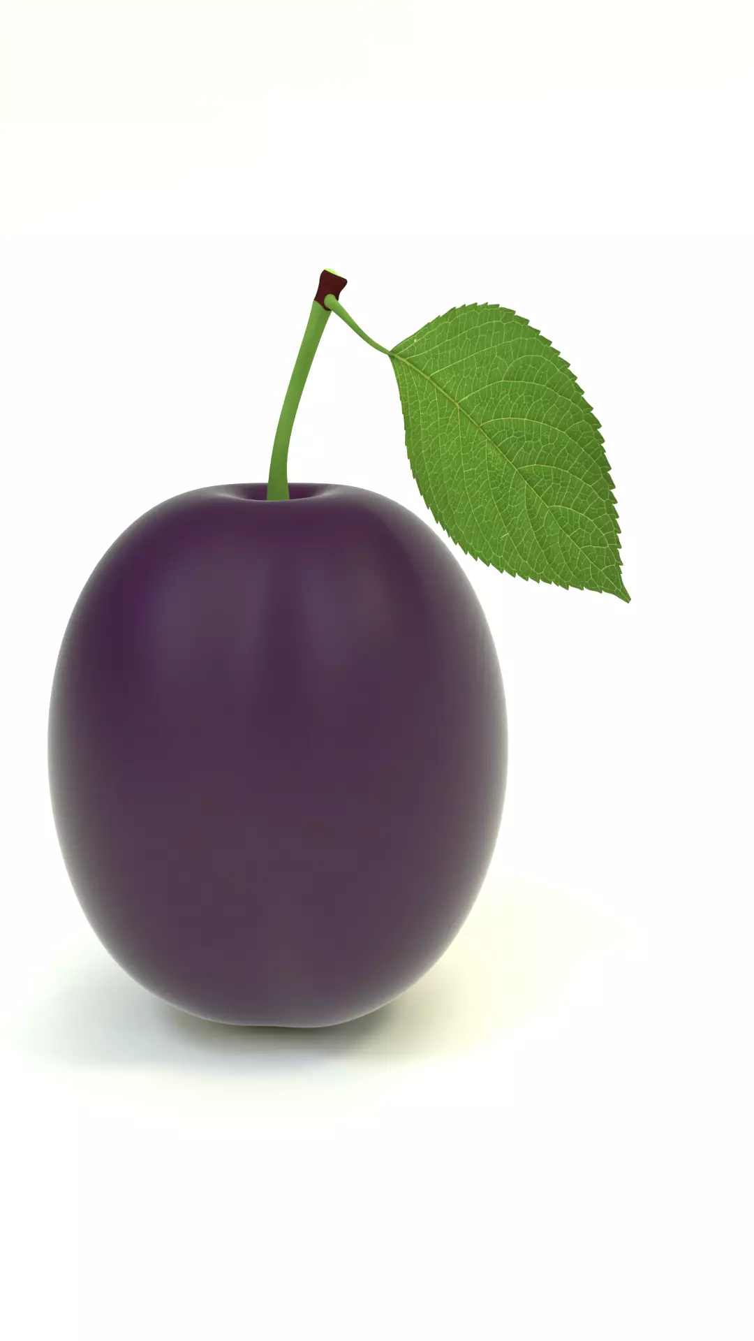 Plum fruit Free 3D model