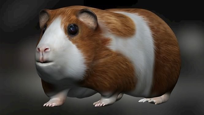 Guinea pig Hamster Low-poly 3D model