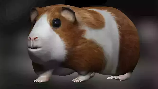 Guinea pig Hamster Low-poly 3D model