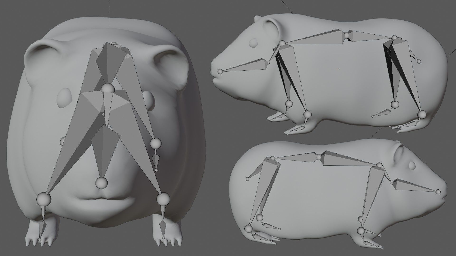 Guinea pig Hamster Low-poly 3D model_6