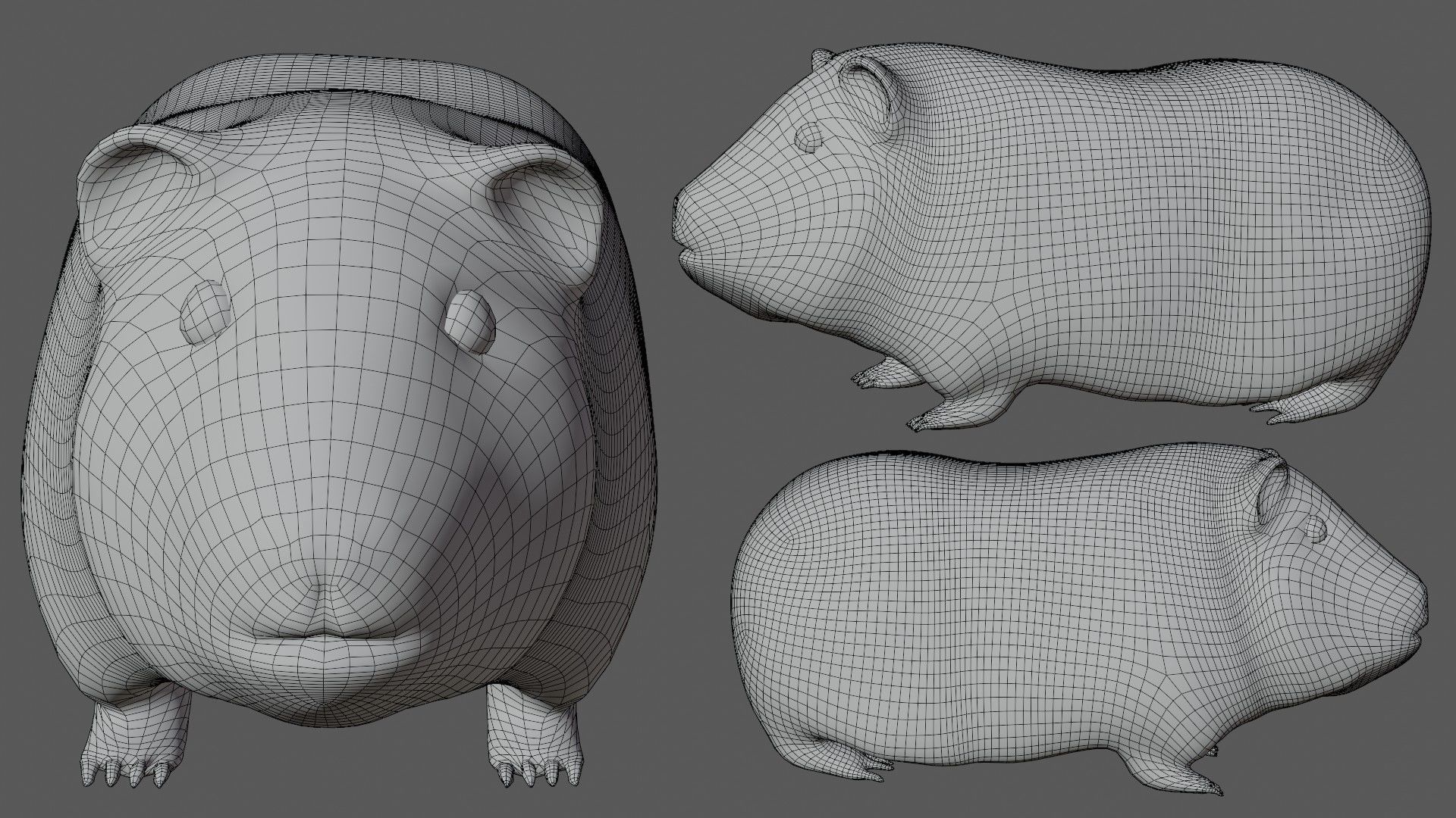 Guinea pig Hamster Low-poly 3D model_7