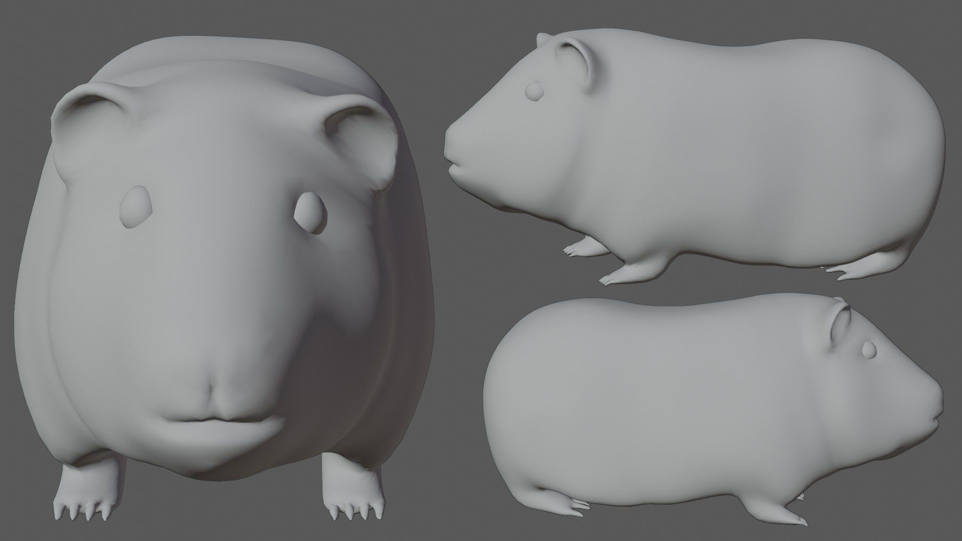 Guinea pig Hamster Low-poly 3D model_5