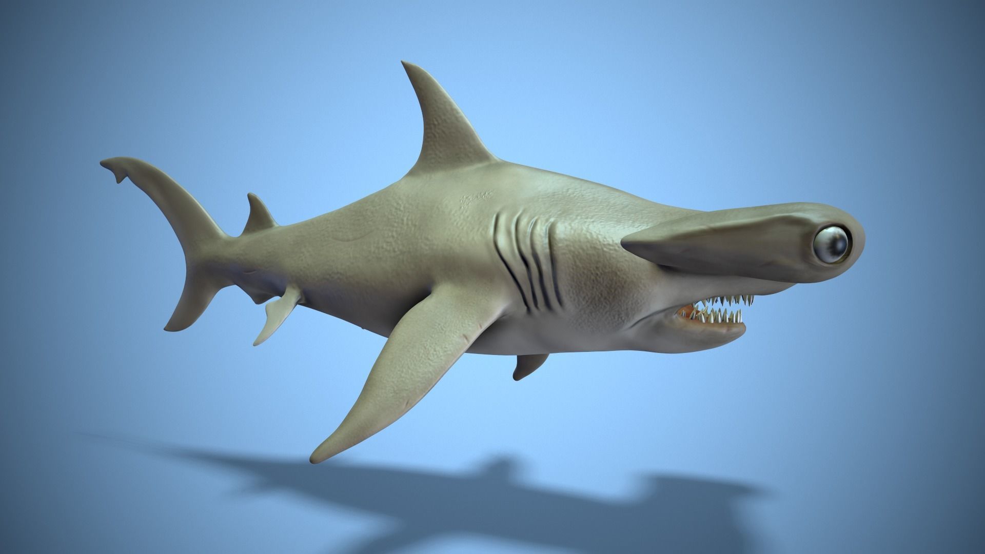 Hammerhead shark Low-poly 3D model_3