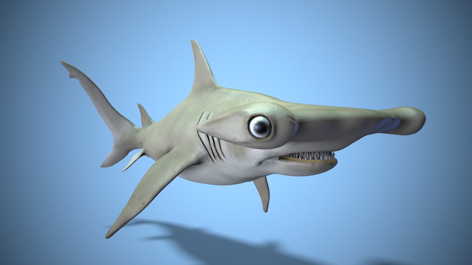 Hammerhead shark Low-poly 3D model_2