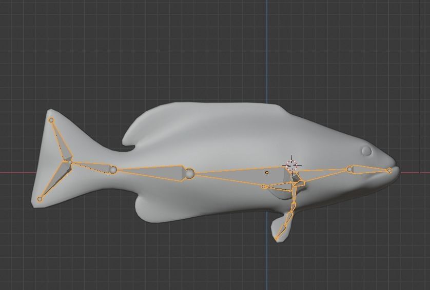 Grouper Species Varieties 3D Model Collection_73