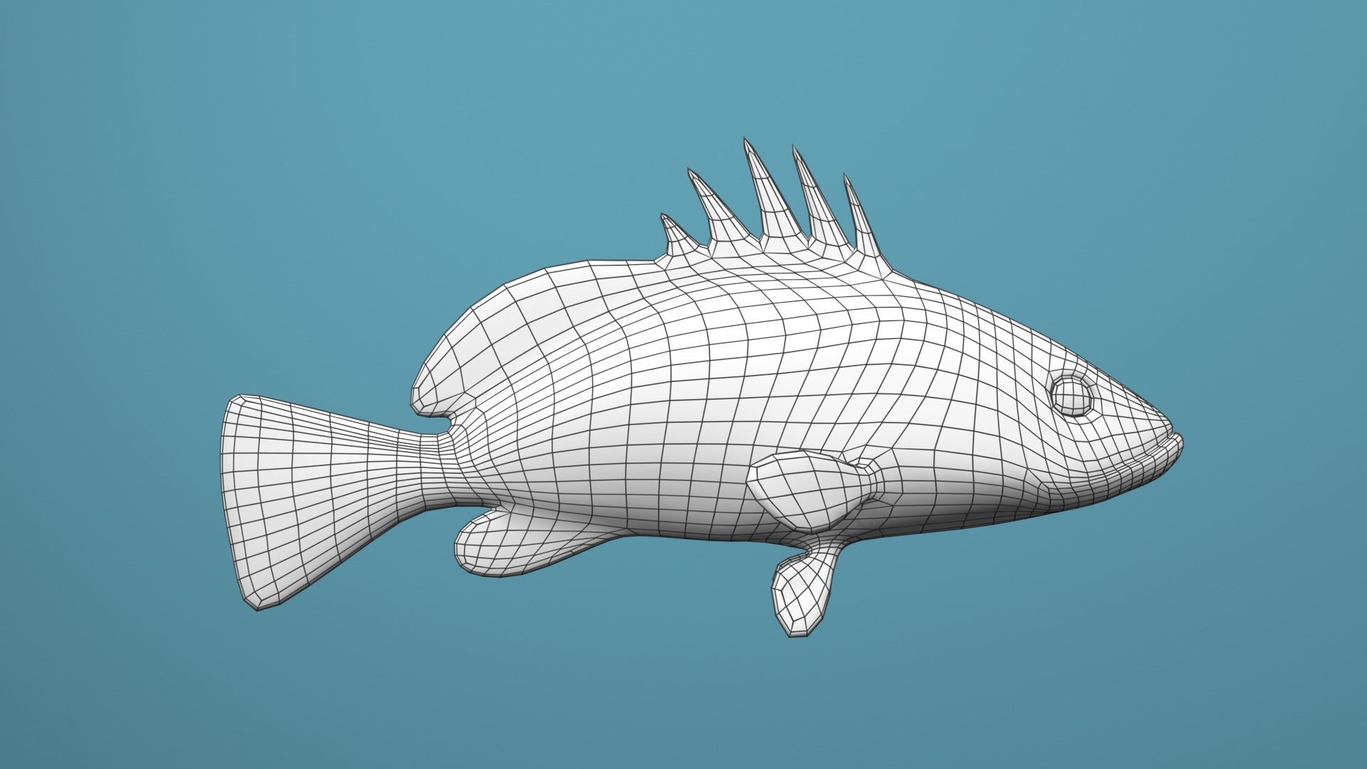 Grouper Species Varieties 3D Model Collection_30