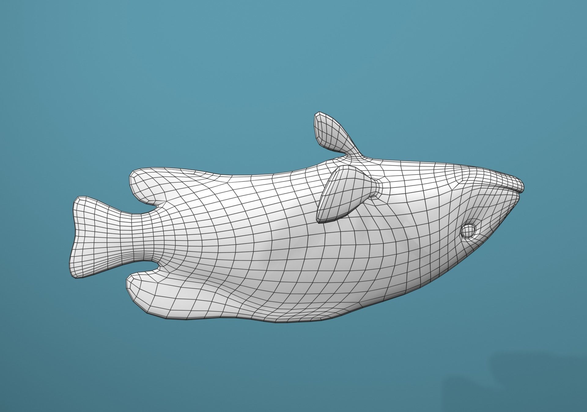 Grouper Species Varieties 3D Model Collection_20