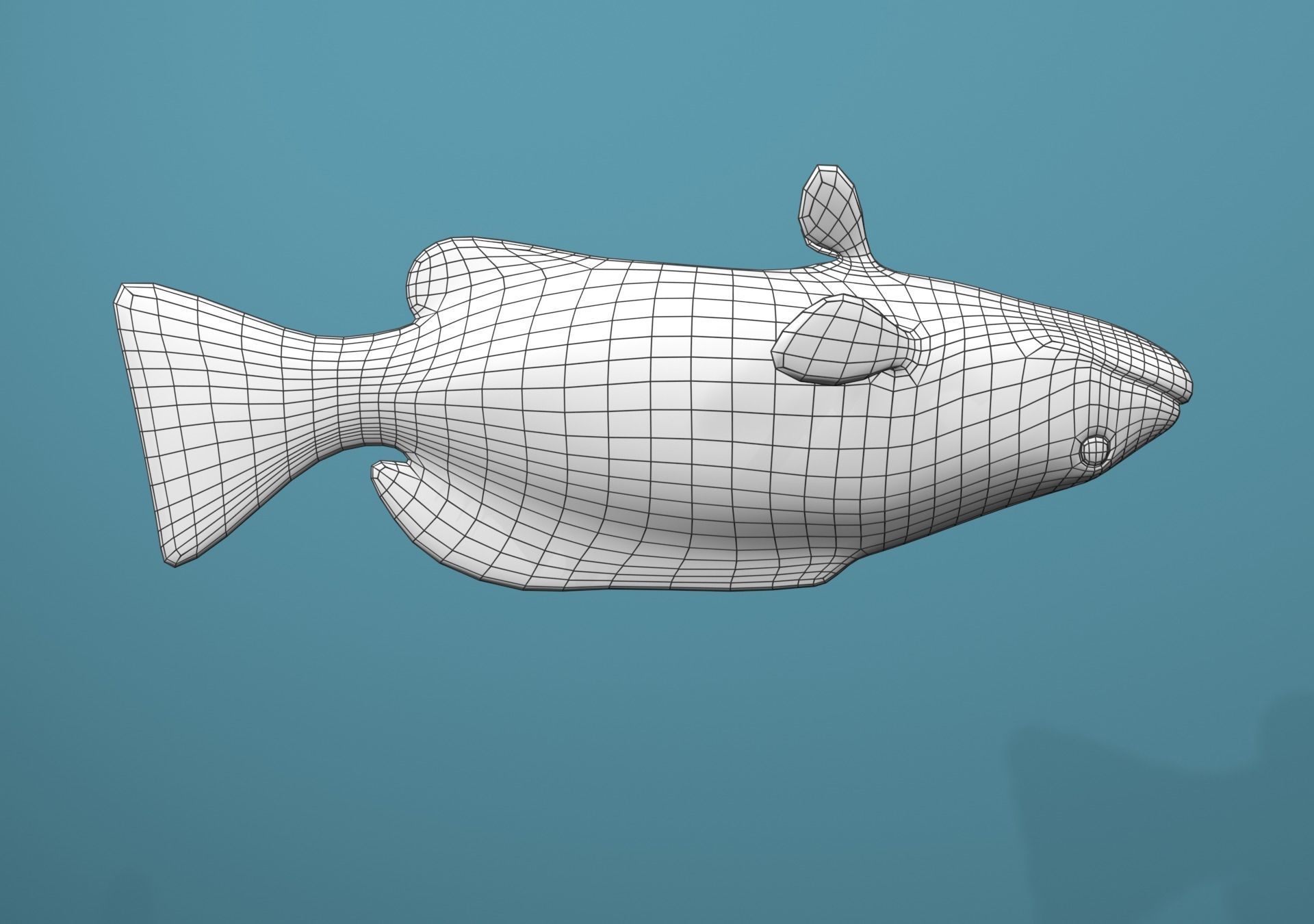 Grouper Species Varieties 3D Model Collection_66