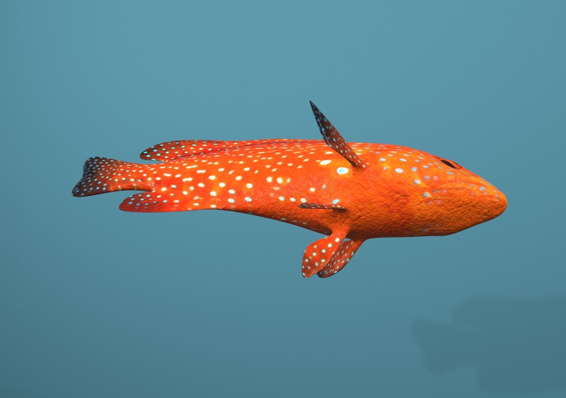 Grouper Species Varieties 3D Model Collection_23