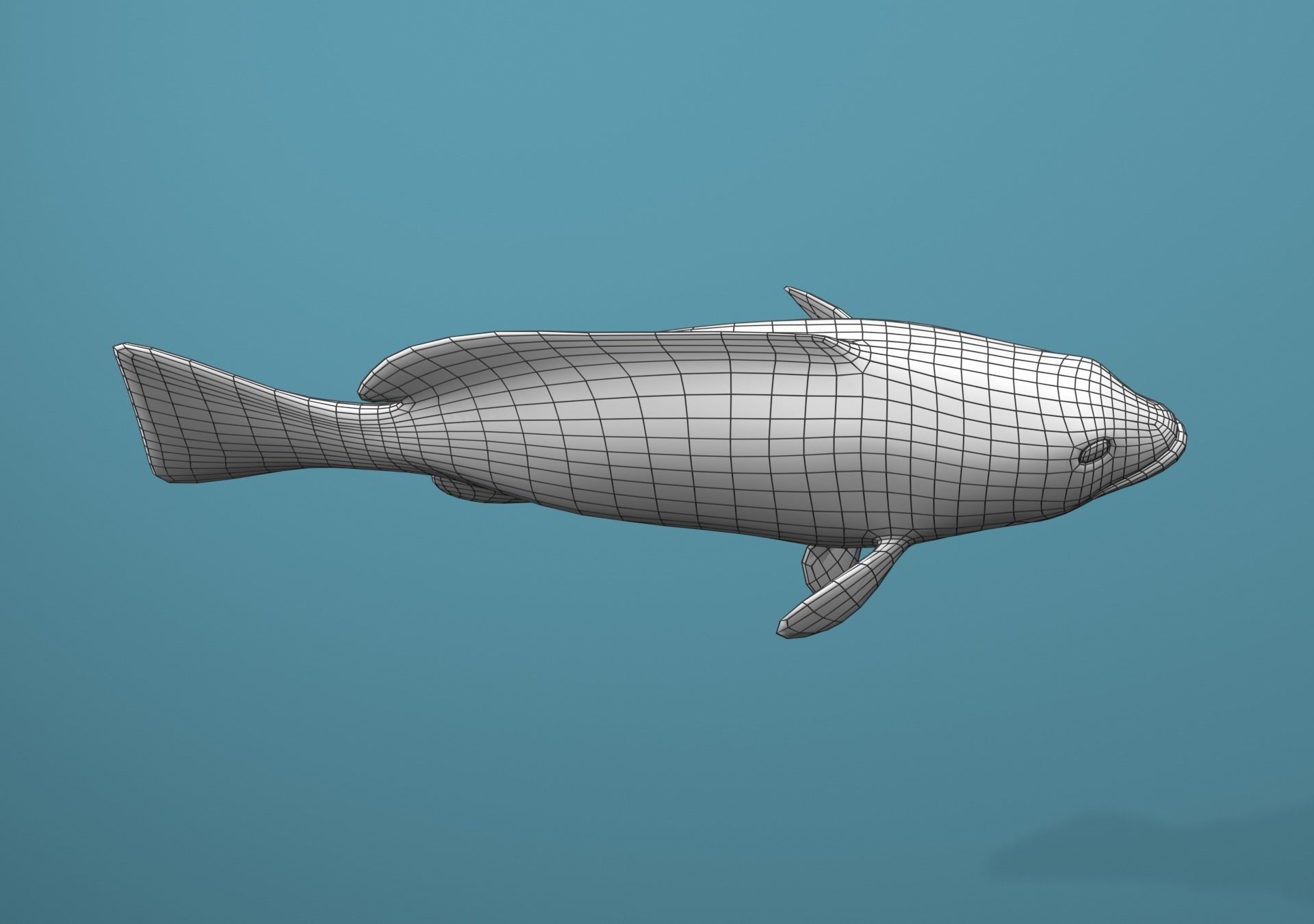 Grouper Species Varieties 3D Model Collection_62