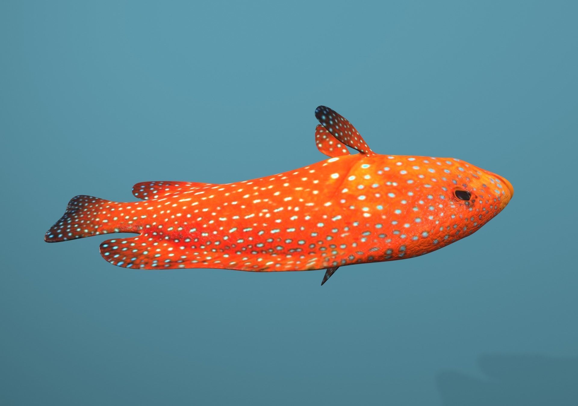 Grouper Species Varieties 3D Model Collection_17