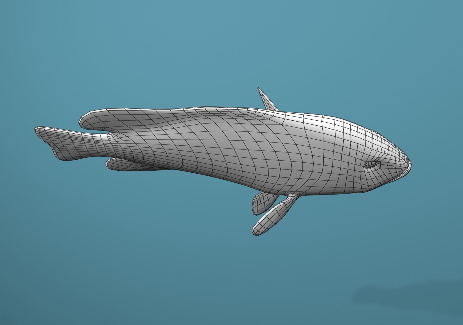 Grouper Species Varieties 3D Model Collection_16