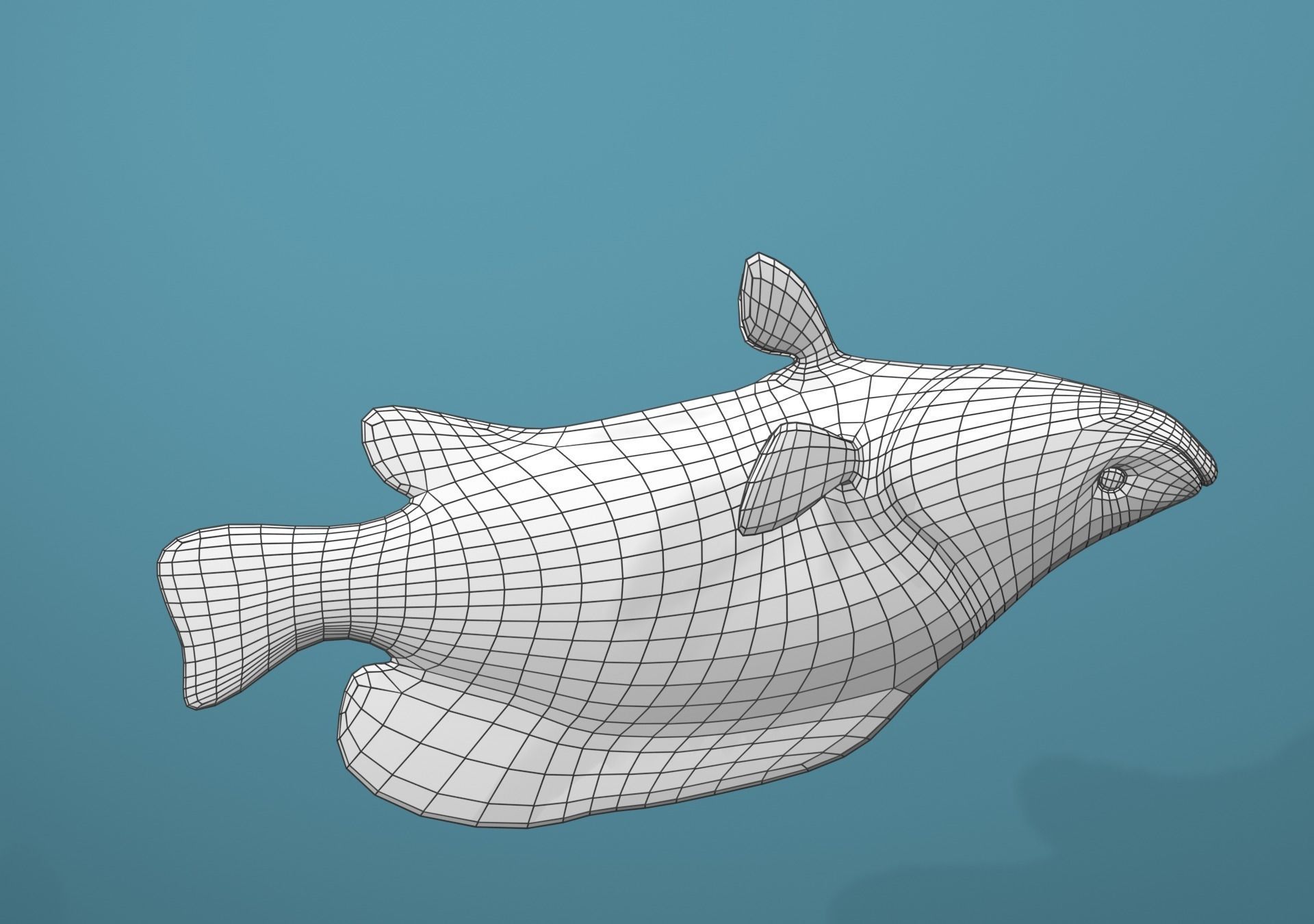 Grouper Species Varieties 3D Model Collection_50