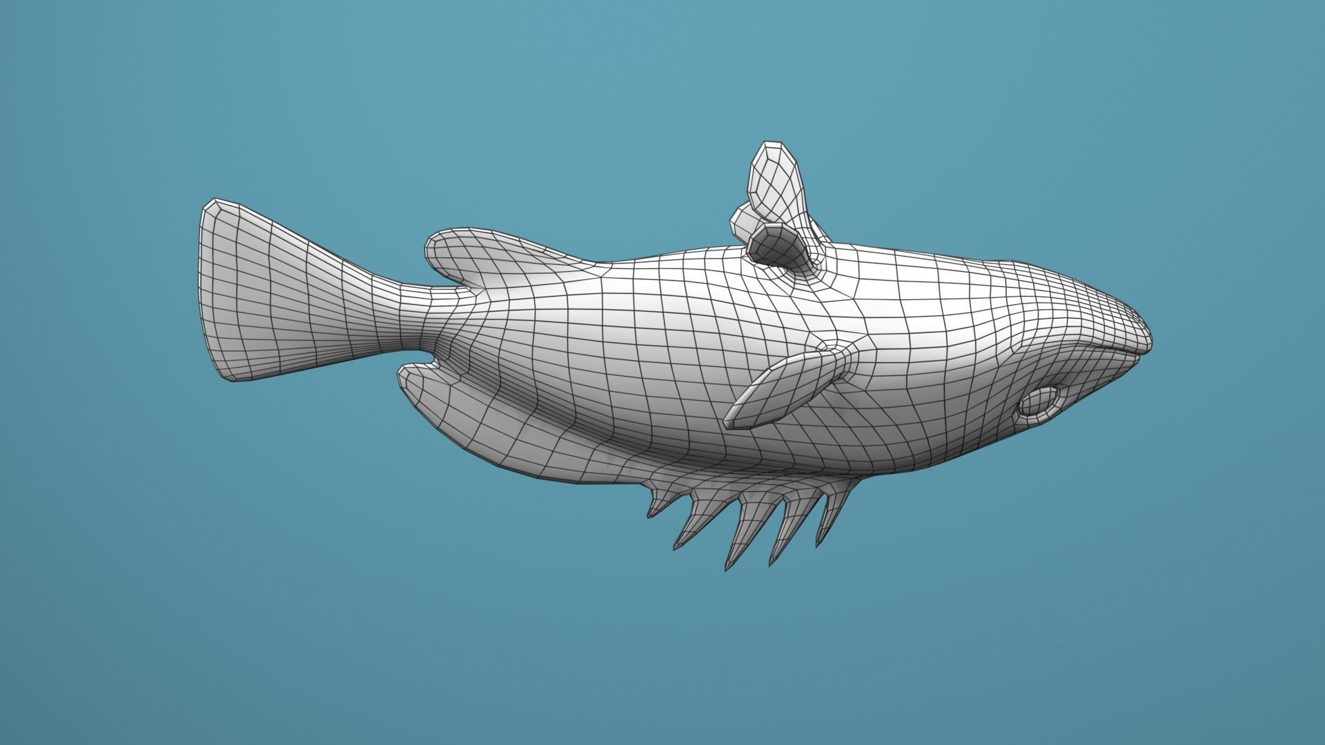 Grouper Species Varieties 3D Model Collection_36
