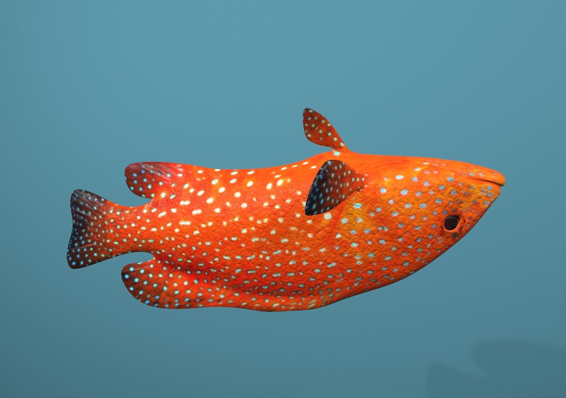 Grouper Species Varieties 3D Model Collection_19