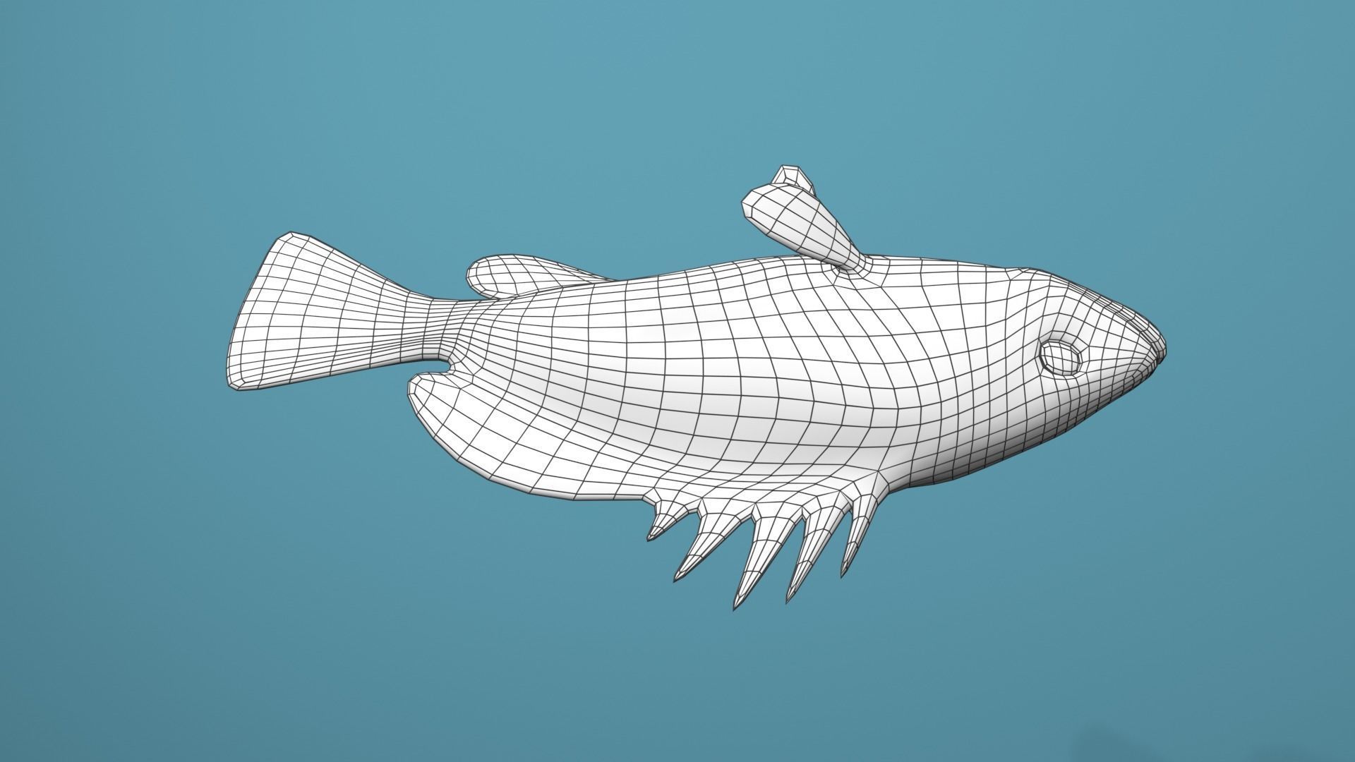 Grouper Species Varieties 3D Model Collection_34
