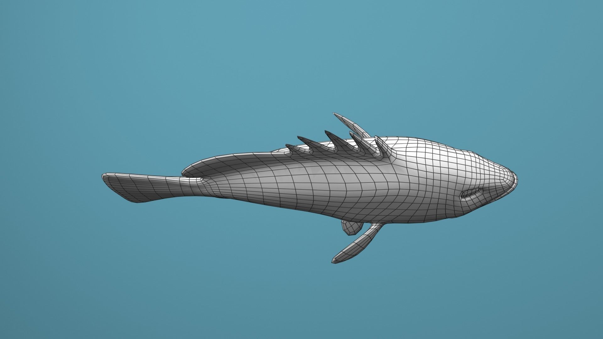 Grouper Species Varieties 3D Model Collection_32