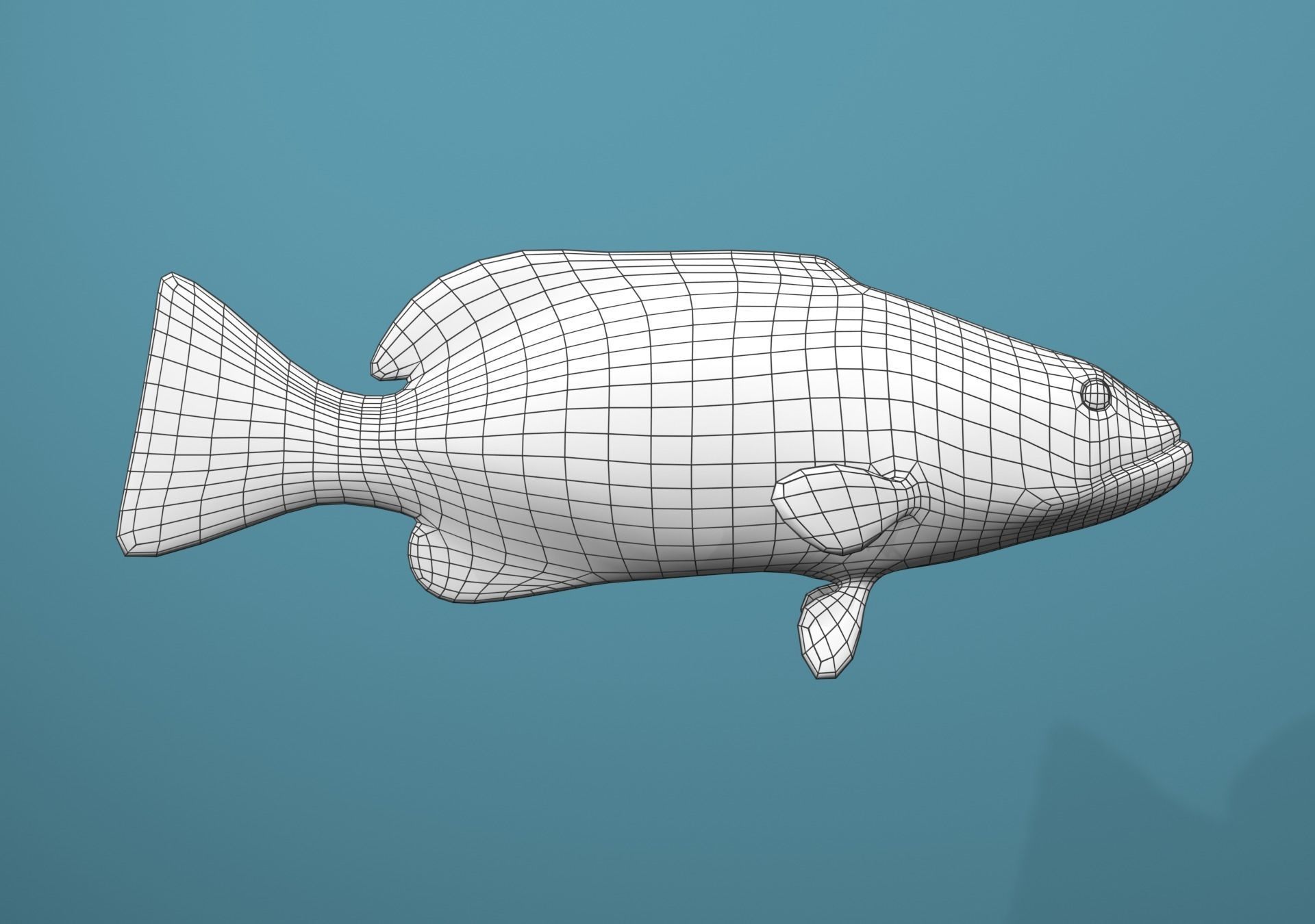 Grouper Species Varieties 3D Model Collection_60