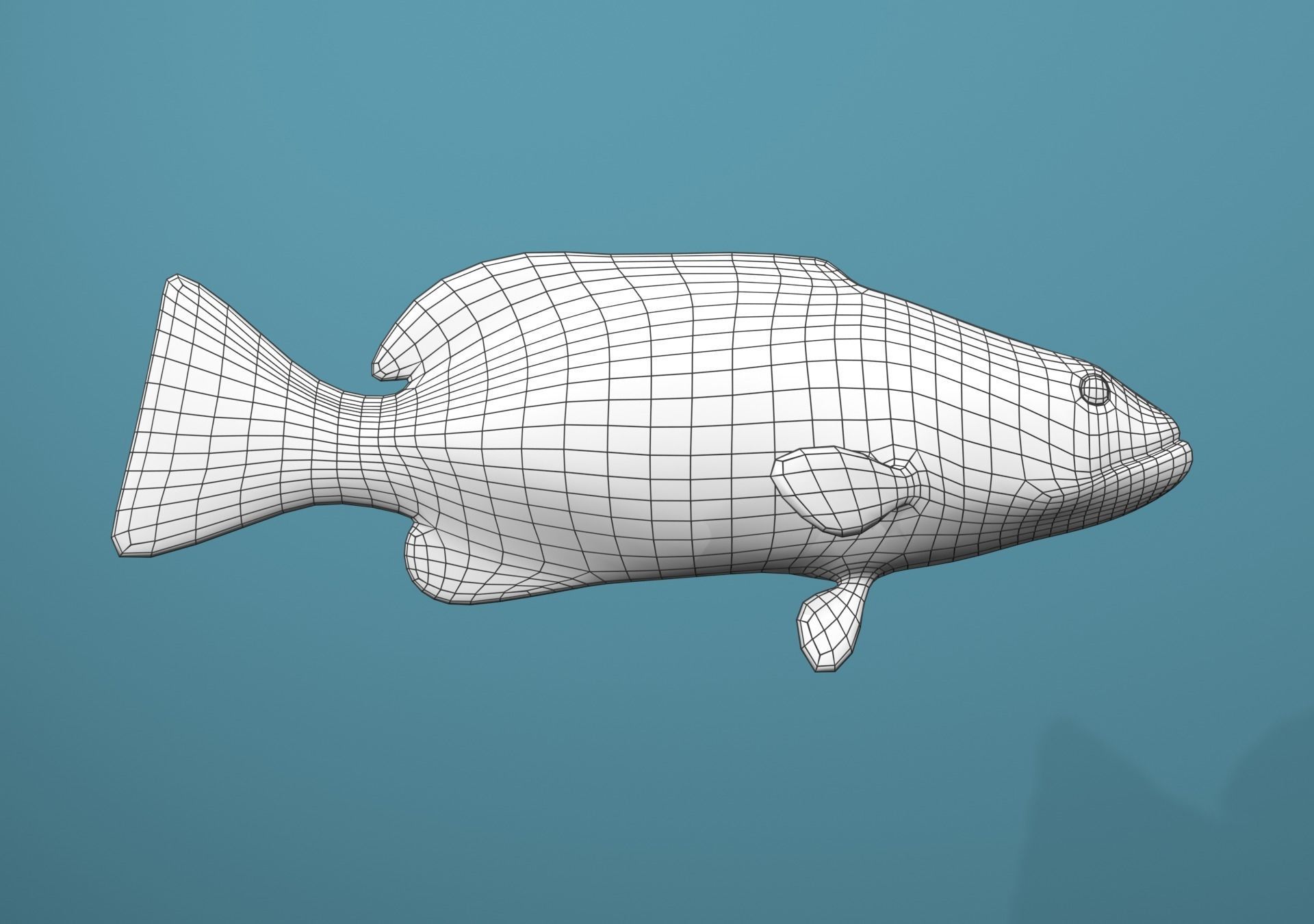 Grouper Species Varieties 3D Model Collection_72