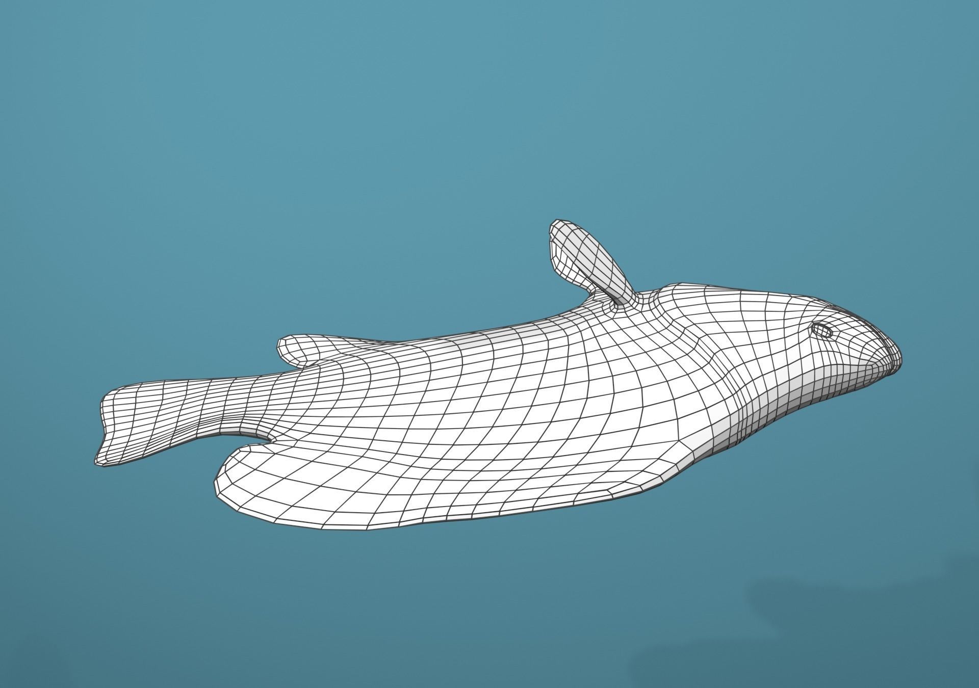 Grouper Species Varieties 3D Model Collection_48