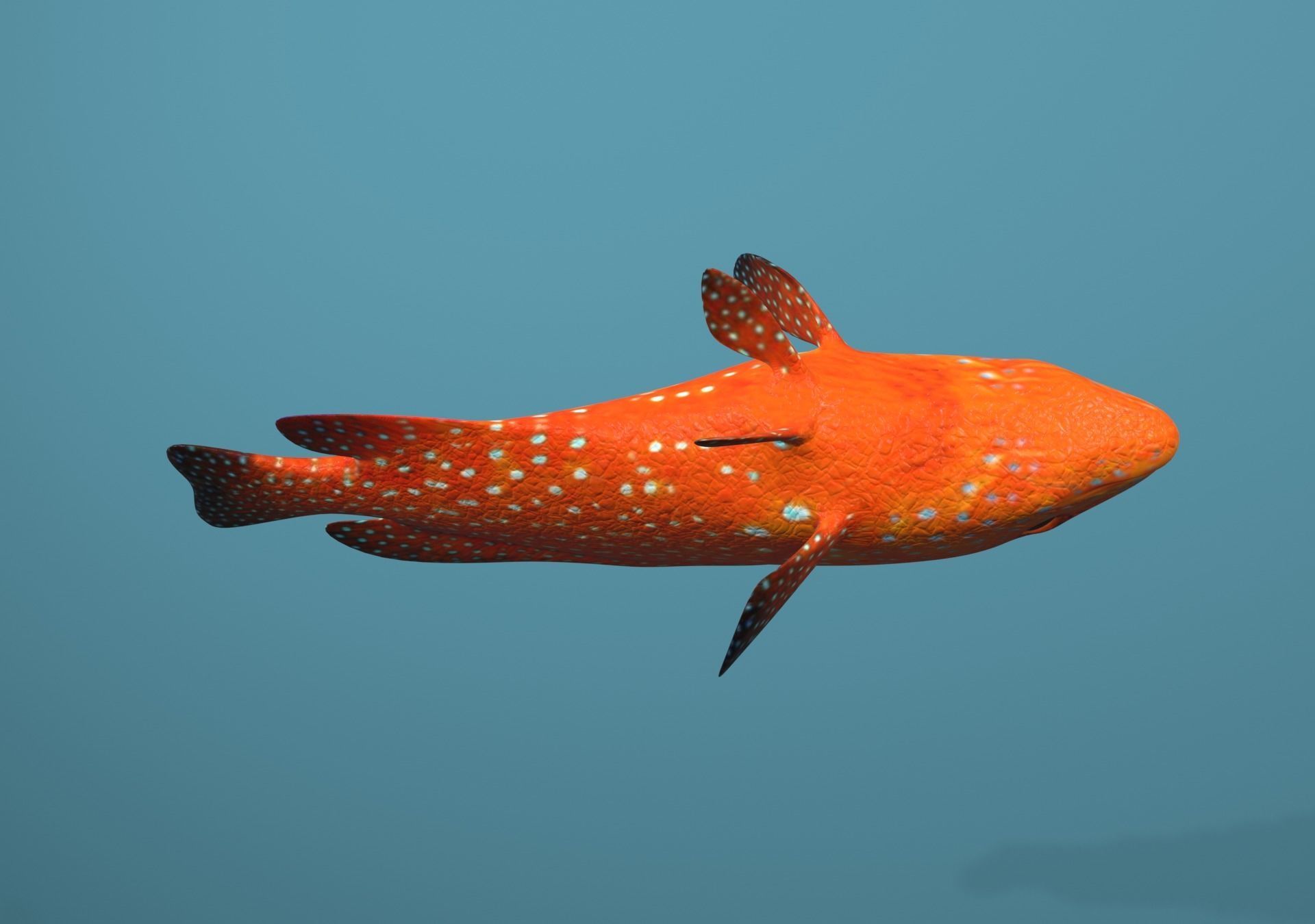 Grouper Species Varieties 3D Model Collection_21