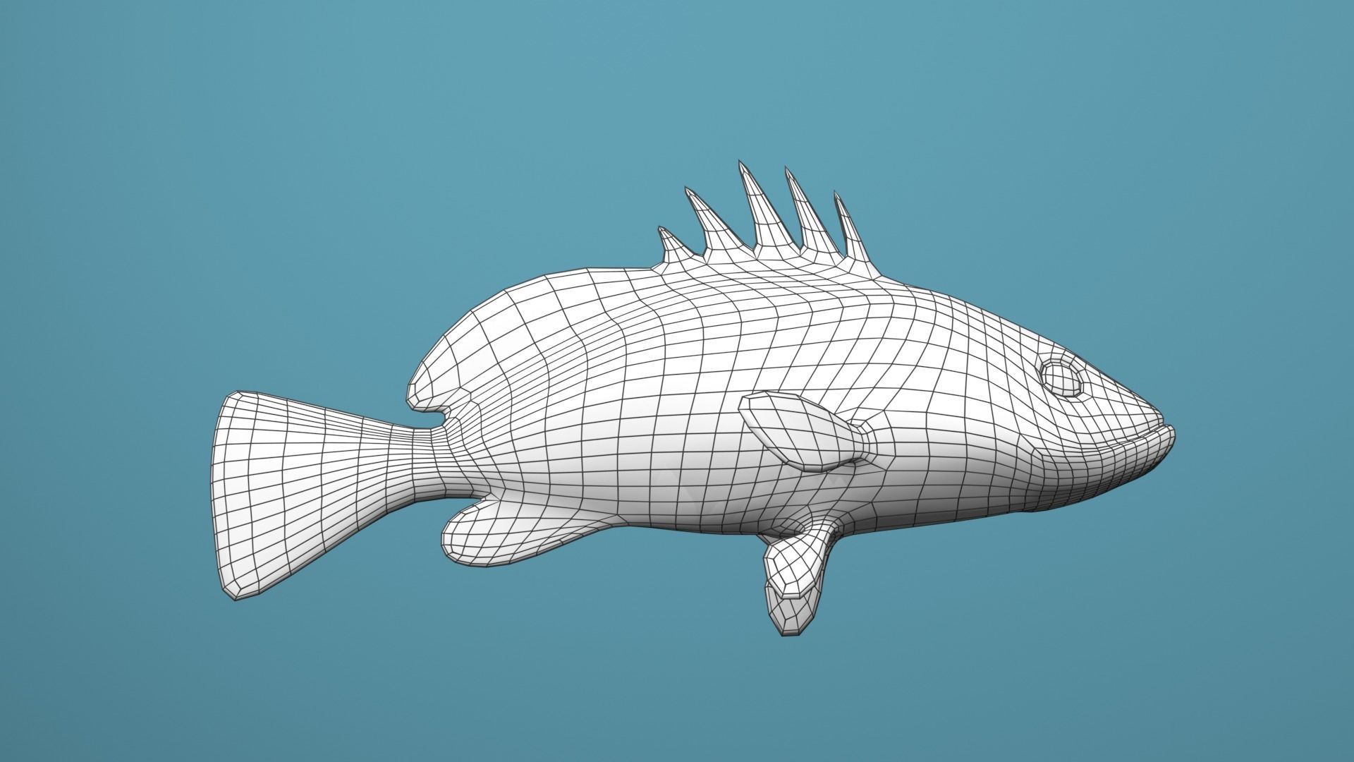 Grouper Species Varieties 3D Model Collection_40