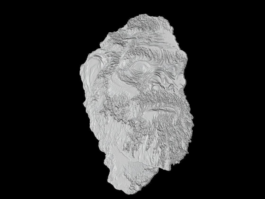 Neanderthal Head 3D Model 3D print model_1