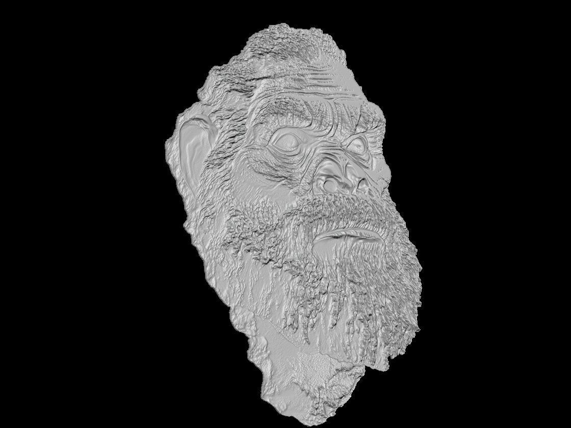 Neanderthal Head 3D Model 3D print model_2