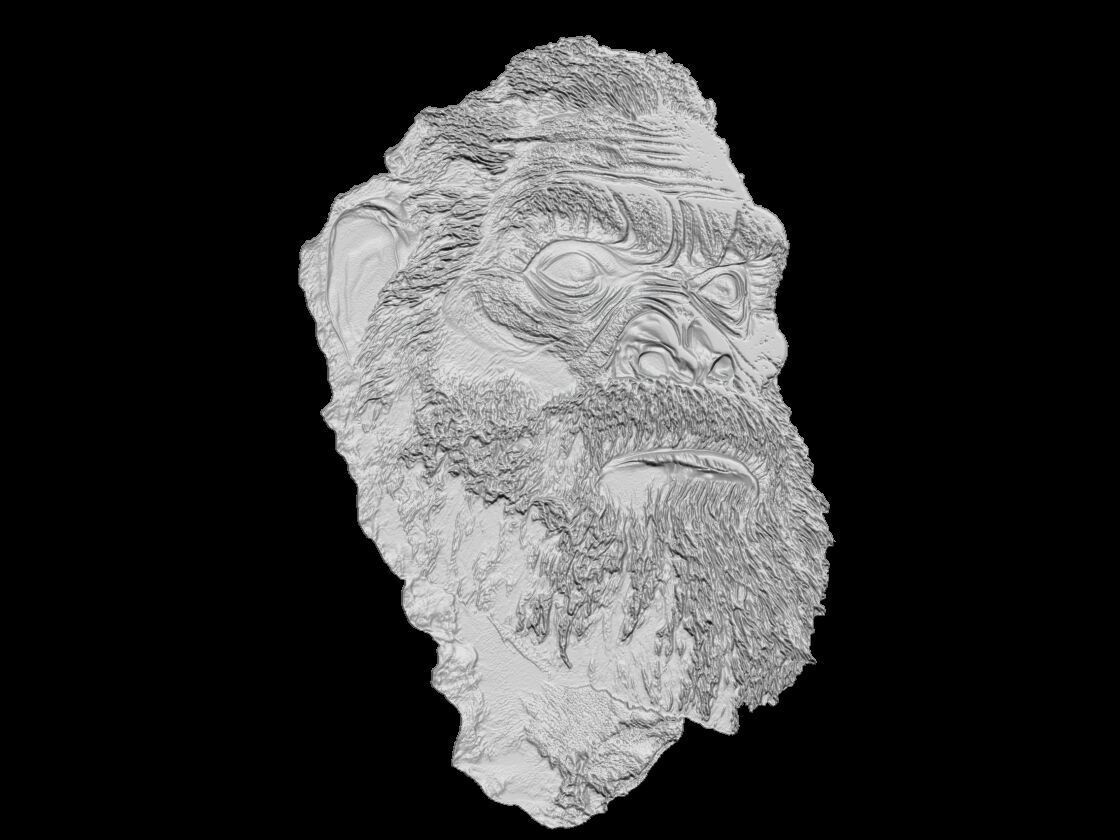Neanderthal Head 3D Model 3D print model_0