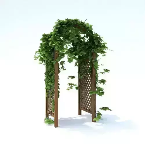 Wooden Garden Pergola