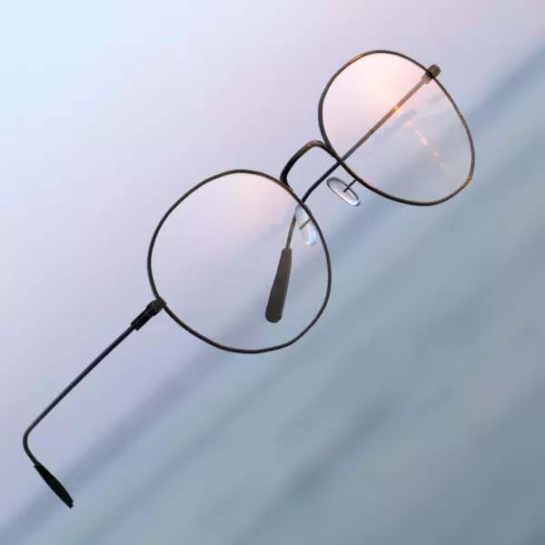 Low-poly eyeglasses model pair of glasses in water Free low-poly 3D model_0