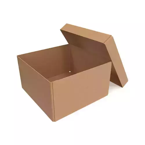 Cardboard box 07
