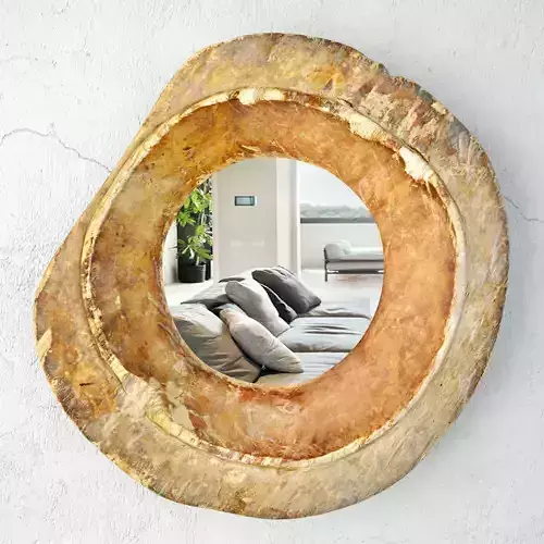 Baga Old Wood Bowl Mirror 3D model